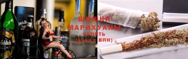 spice Новозыбков